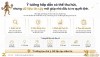 VSX Vietnam Startup eXchange dữ liệu tin cậy mới giúp nhà đầu tư ra quyết định