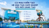 Hệ sinh thái khởi nghiệp Cà Mau và vai trò Đại học Bạc Liêu