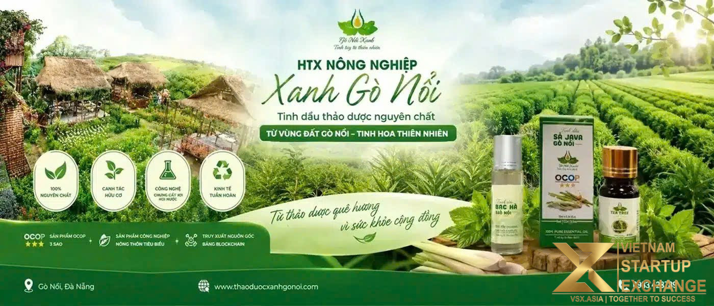 Tinh dầu Diệp Anh - Gò Nổi
